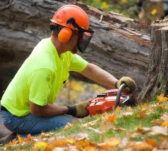 tree services Lewisport